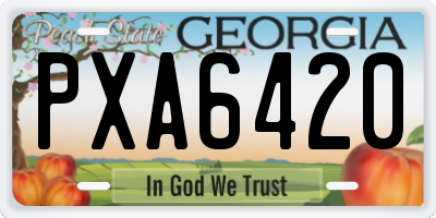 GA license plate PXA6420