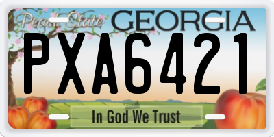 GA license plate PXA6421