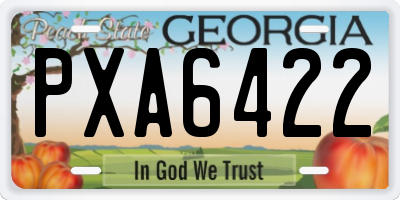 GA license plate PXA6422