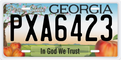 GA license plate PXA6423