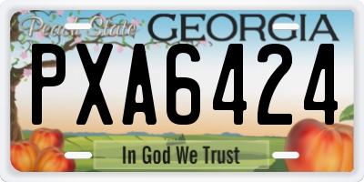 GA license plate PXA6424