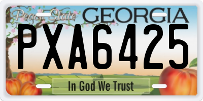 GA license plate PXA6425