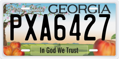 GA license plate PXA6427