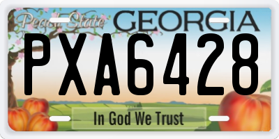 GA license plate PXA6428