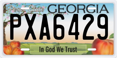 GA license plate PXA6429