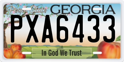 GA license plate PXA6433