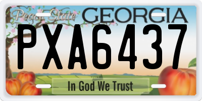 GA license plate PXA6437
