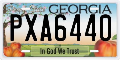 GA license plate PXA6440
