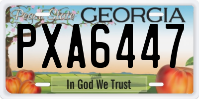 GA license plate PXA6447