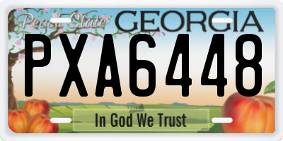 GA license plate PXA6448