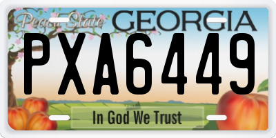 GA license plate PXA6449