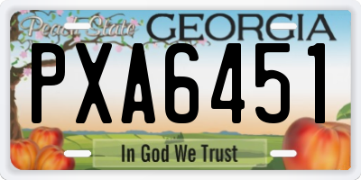 GA license plate PXA6451