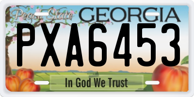 GA license plate PXA6453