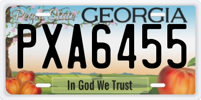 GA license plate PXA6455