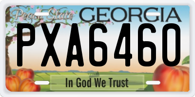 GA license plate PXA6460