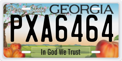 GA license plate PXA6464