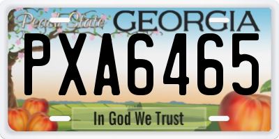 GA license plate PXA6465