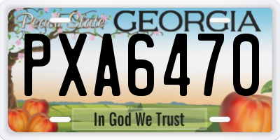 GA license plate PXA6470