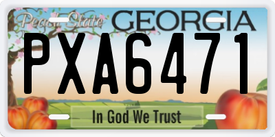 GA license plate PXA6471