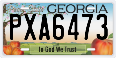GA license plate PXA6473