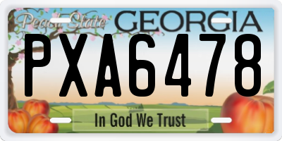 GA license plate PXA6478