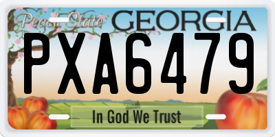 GA license plate PXA6479