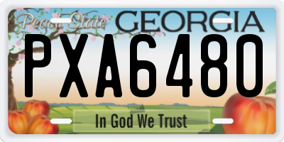 GA license plate PXA6480