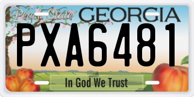 GA license plate PXA6481