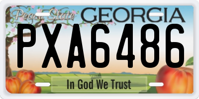 GA license plate PXA6486