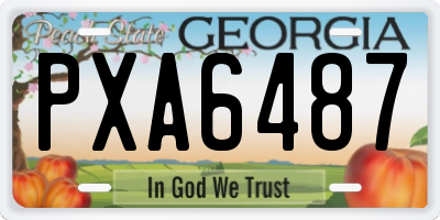 GA license plate PXA6487