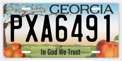 GA license plate PXA6491