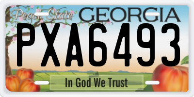 GA license plate PXA6493