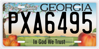 GA license plate PXA6495