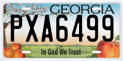 GA license plate PXA6499