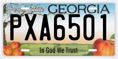 GA license plate PXA6501