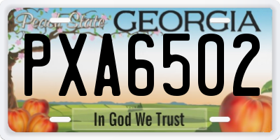 GA license plate PXA6502