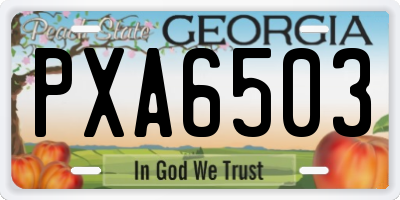 GA license plate PXA6503