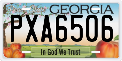 GA license plate PXA6506