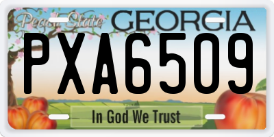 GA license plate PXA6509