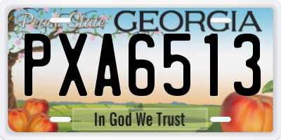 GA license plate PXA6513