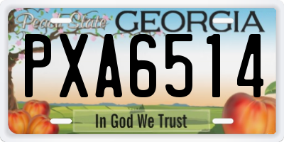 GA license plate PXA6514