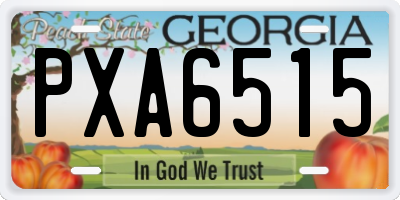 GA license plate PXA6515
