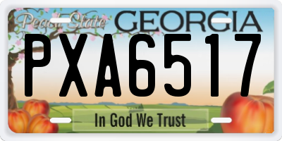 GA license plate PXA6517