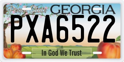 GA license plate PXA6522