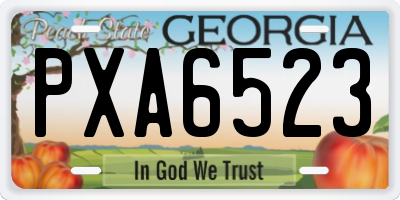 GA license plate PXA6523