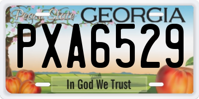 GA license plate PXA6529