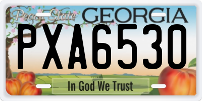 GA license plate PXA6530