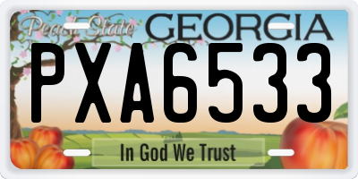 GA license plate PXA6533