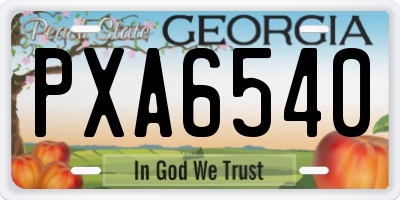 GA license plate PXA6540
