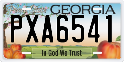 GA license plate PXA6541